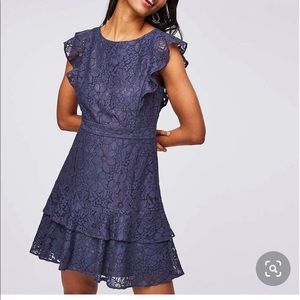 Ann Taylor LOFT Size 4P Lace Flutter Dress